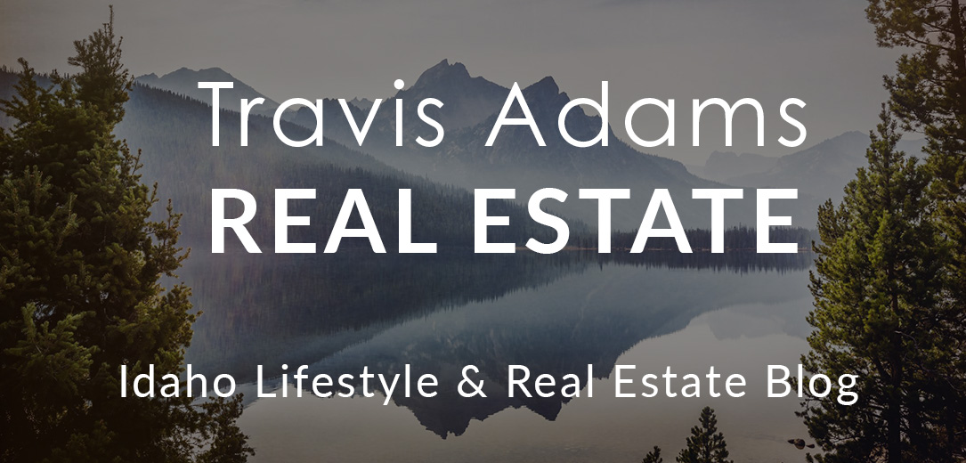 travis-website-header-image